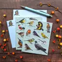 Notecard And Pen Set Boxed - Patricia Maccarthy Birds
