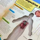 3D Discover the Human Body Book