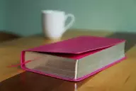 NIV, Women's Devotional Bible, Imitation Leather, Pink