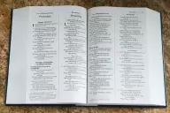 NIV And The Message Side By Side Bible Large Print
