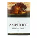 Amplified Study Bible, Brown, Hardback, Large Print, Study and Practical Theological Notes, Book Introductions, Translators' Footnotes, Topical Index, Full-Colour Maps