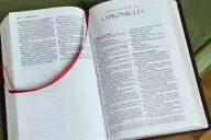 Amplified Thinline, Bible Burgundy, Bonded Leather, Translation Introduction, Presentation Page, Ribbon Marker, Gilt Edges