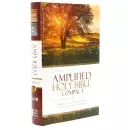 Amplified Bible Compact, Brown, Hardback, Footnotes, Presentation Page, Translation Introduction