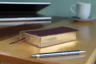 Amplified Compact Holy Bible: Camel/Burgundy, Imitation Leather