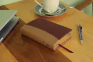 Amplified Compact Holy Bible: Camel/Burgundy, Imitation Leather