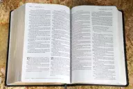 KJV, Amplified, Parallel Bible - Large Print, Bonded Leather, Black, Red Letter Edition