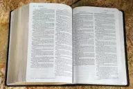 KJV, Amplified, Parallel Bible - Large Print, Bonded Leather, Black, Red Letter Edition