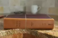 KJV, Amplified, Parallel Bible, Large Print