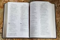 NIV, The Message, Parallel Bible