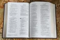 NIV, The Message, Parallel Bible