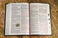 NIV, Thinline Bible, Large Print, Bonded Leather, Black, Indexed, Red Letter Edition