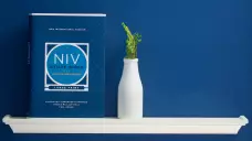 NIV Study Bible, Fully Revised Edition (Study Deeply. Believe Wholeheartedly.), Large Print, Hardcover, Red Letter, Comfort Print