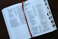 NIV, Thinline Reference Bible (Deep Study at a Portable Size), Bonded Leather, Black, Red Letter, Thumb Indexed, Comfort Print