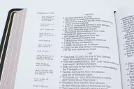 NASB, Single-Column Reference Bible, Wide Margin, Premium Goatskin Leather, Black, Premier Collection, Black Letter, 1995 Text, Art Gilded Edges, Comfort Print
