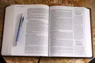 The Jesus Bible, NIV Edition, Leathersoft, Brown, Comfort Print