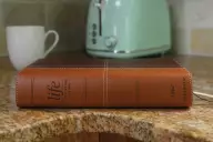NIV, Life Application Study Bible, Third Edition, Leathersoft, Brown, Red Letter