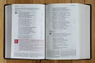 NIV, Life Application Study Bible, Third Edition, Large Print, Bonded Leather, Burgundy, Red Letter