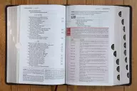 NIV, Life Application Study Bible, Third Edition, Large Print, Bonded Leather, Burgundy, Red Letter, Thumb Indexed