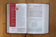 NIV, Life Application Study Bible, Third Edition, Personal Size, Leathersoft, Brown, Red Letter