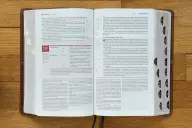 NIV, Life Application Study Bible, Third Edition, Personal Size, Imitation Leather, Brown, Red Letter, Thumb Indexed