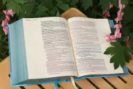 NIV, Artisan Collection Bible, Cloth over Board, Blue, Art Gilded Edges, Red Letter, Comfort Print