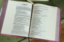 NIV, Artisan Collection Bible, Cloth over Board, Pink, Art Gilded Edges, Red Letter, Comfort Print