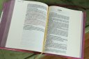 NIV, Artisan Collection Bible, Cloth over Board, Pink, Art Gilded Edges, Red Letter, Comfort Print