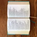 NIV, Giant Print Compact Bible, Leathersoft, Teal, Red Letter, Comfort Print
