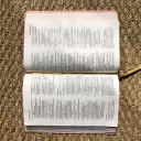 NIV, Bible for Teens, Thinline Edition, Leathersoft, Pink, Red Letter, Comfort Print