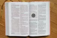 NIV, Bible for Teens, Thinline Edition, Leathersoft, Pink, Red Letter, Comfort Print
