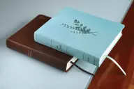 NIV, Journal the Word Bible (Perfect for Note-Taking), Double-Column, Cloth over Board, Teal, Red Letter, Comfort Print