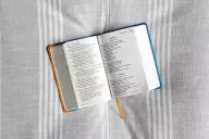 NIV, Giant Print Compact Bible for Boys, Leathersoft, Blue, Red Letter, Comfort Print