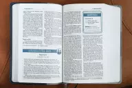 NIV, Teen Study Bible (For Life Issues You Face Every Day), Leathersoft, Blue, Comfort Print