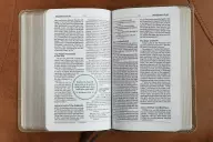 NIV, Teen Study Bible (For Life Issues You Face Every Day), Compact, Leathersoft, Brown, Comfort Print