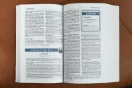 NIV, Teen Study Bible (For Life Issues You Face Every Day), Paperback, Comfort Print