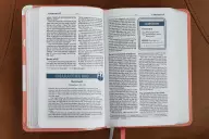 NIV, Teen Study Bible (For Life Issues You Face Every Day), Compact, Leathersoft, Peach, Comfort Print