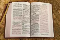 NIV, Personal Size Bible, Large Print, Genuine Leather, Buffalo, Brown, Red Letter, Art Gilded Edges, Comfort Print