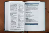 NIV, Teen Study Bible (For Life Issues You Face Every Day), Leathersoft, Teal, Comfort Print