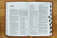 NASB, Thinline Bible, Large Print, Leathersoft, Brown, Red Letter, 1995 Text, Thumb Indexed, Comfort Print