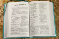 NIV, Foundation Study Bible, Leathersoft, Teal, Red Letter