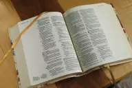 NASB, Artisan Collection Bible, Leathersoft, Almond Floral, Red Letter, 1995 Text, Comfort Print