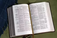 KJV, Thompson Chain-Reference Bible, Handy Size, Leathersoft, Burgundy, Red Letter, Comfort Print