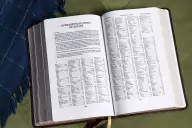 KJV, Thompson Chain-Reference Bible, Handy Size, Leathersoft, Burgundy, Red Letter, Comfort Print