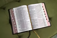 KJV, Thompson Chain-Reference Bible, Large Print, Genuine Leather, Cowhide, Black, Red Letter, Thumb Indexed, Comfort Print