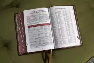 KJV, Thompson Chain-Reference Bible, Genuine Leather, Calfskin, Brown, Red Letter, Thumb Indexed, Comfort Print