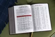 KJV, Thompson Chain-Reference Bible, Leathersoft, Burgundy, Red Letter, Comfort Print