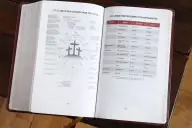 NIV, Thompson Chain-Reference Bible, Handy Size, Leathersoft, Burgundy, Red Letter, Comfort Print