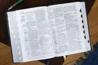 NIV, Thompson Chain-Reference Bible, Leathersoft, Navy, Thumb Indexed, Red Letter, Comfort Print