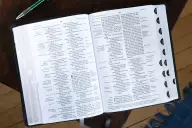 NIV, Thompson Chain-Reference Bible, European Bonded Leather, Black, Thumb Indexed, Red Letter, Comfort Print