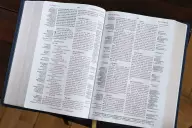 NIV, Thompson Chain-Reference Bible, Leathersoft, Navy, Red Letter, Comfort Print
